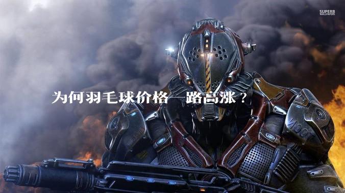 为何羽毛球价格一路高涨?