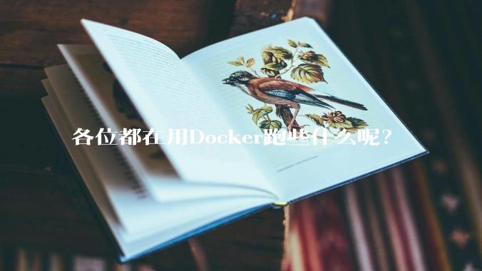 各位都在用Docker跑些什么呢？